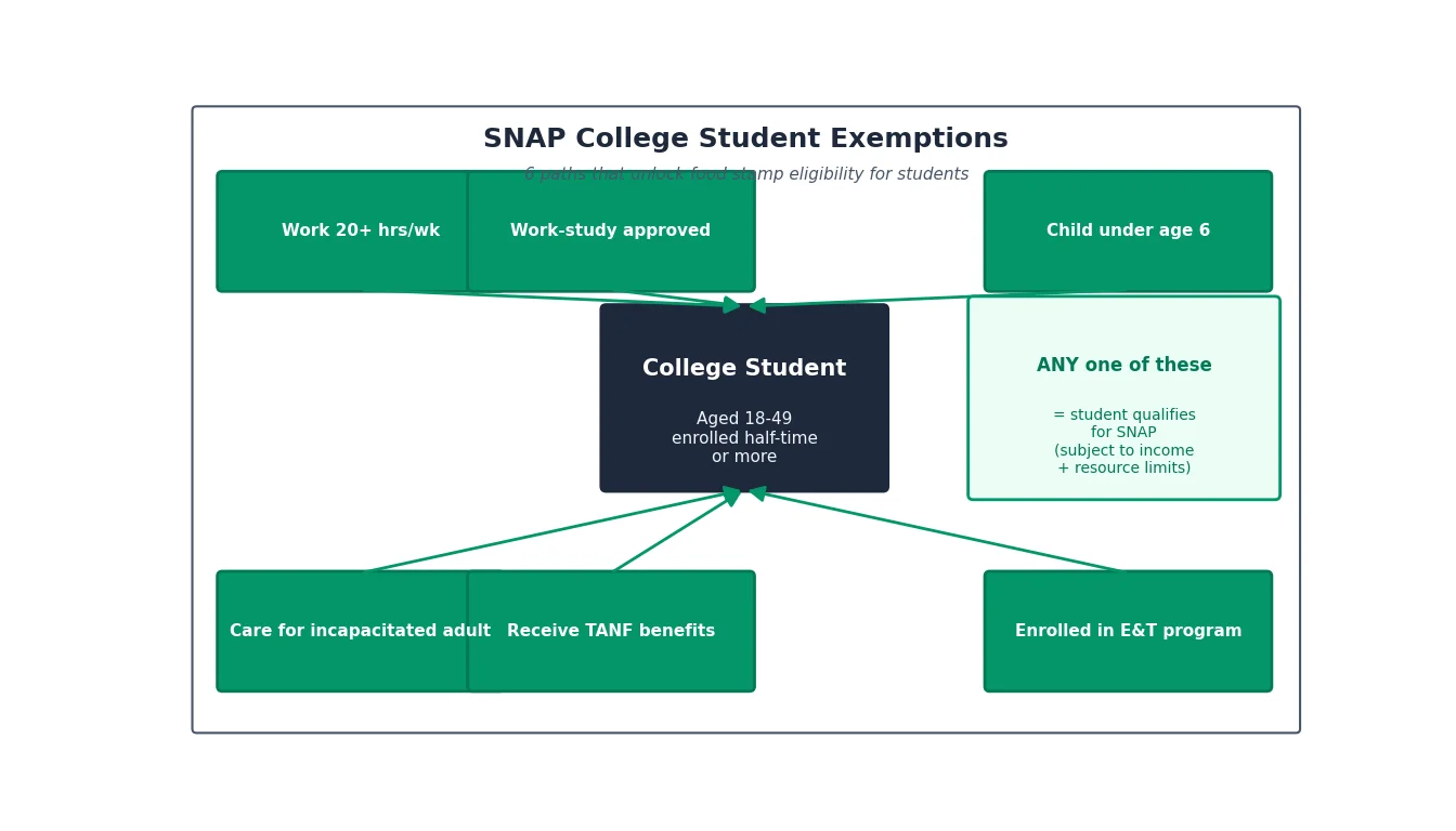 SNAP College Student Exemptions: The 6 Loopholes That Let Students Qualify